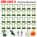 Plant Support Stakes and Cages Set