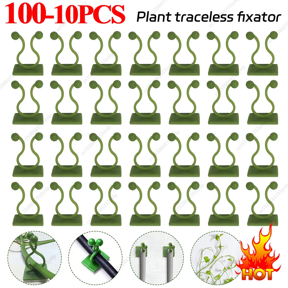 Plant Support Stakes and Cages Set
