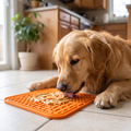 Dog calmly licking food paste from the suction lick mat