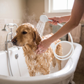 Person rinsing a dog with the handheld shower hose attachment