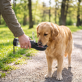 Person giving their dog a drink from the portable dog water bottle on a walk