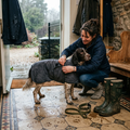 Woman wrapping a soaking wet spaniel in the microfibre drying coat in a hallway